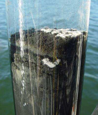 sediment columns Photos: