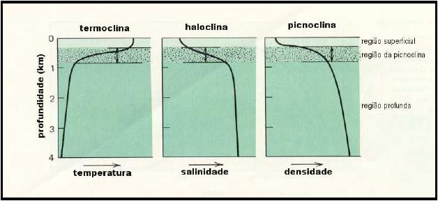 VERTICAL STRUCTURE OF THE OCEAN The upper layer of the ocean (meters or tens of meters) correspond to the mixed layer where the ocean is well mixed due to the direct influence of the wind.