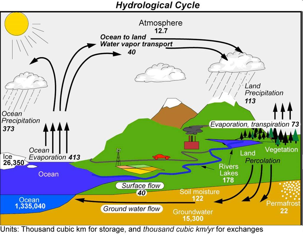 INTRODUCTION Hydrological Cycle The Hydrological Cycle showing the annual movement of the
