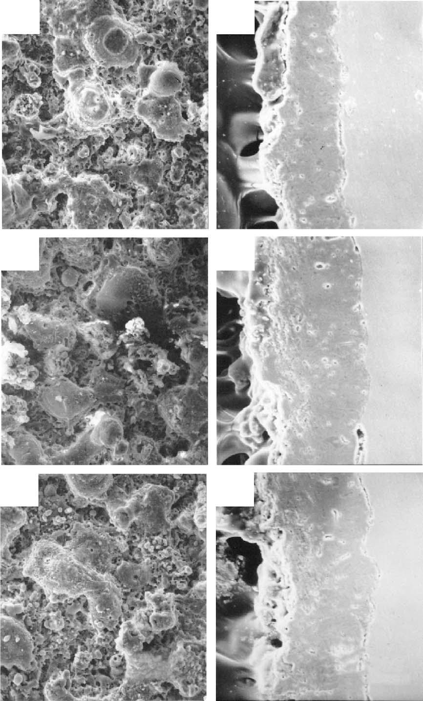 122 Z. Yao et al. / Thin Solid Films 468 (2004) 120 124 Fig. 1. SEM morphology of surface ((a), (b), (c)) and section ((d), (e), (f)) of the coatings of different current densities.