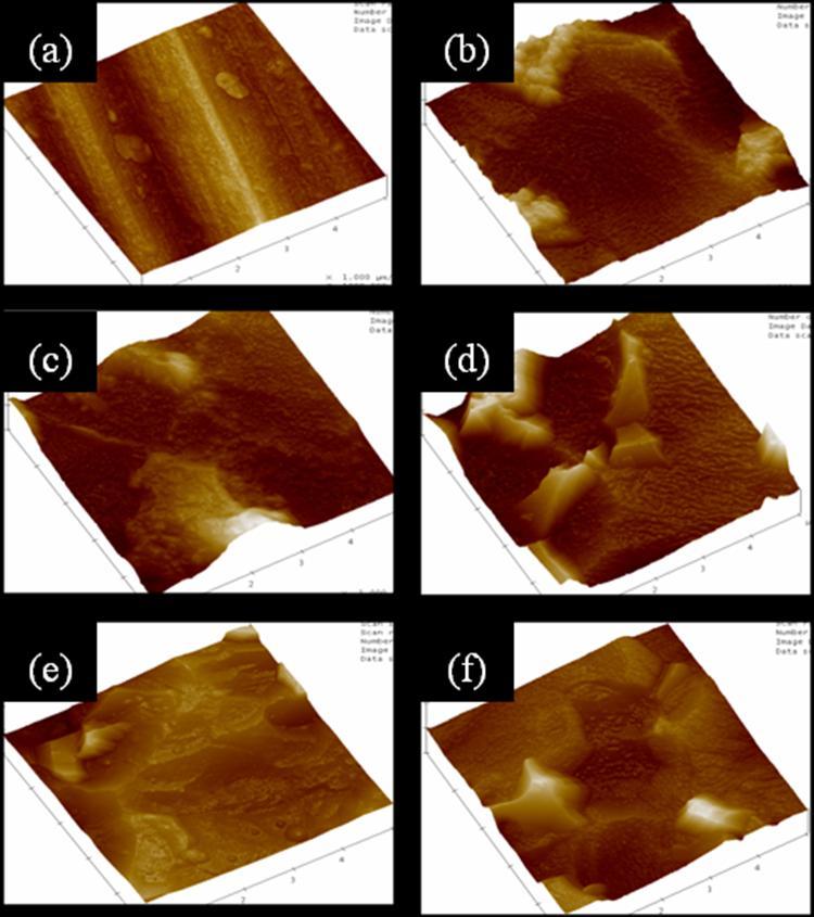 SEM micrographs of anodic oxide film on Ti-6Al-4V surface in 1M MCPM electrolyte : (a) before anodization (b) 0.