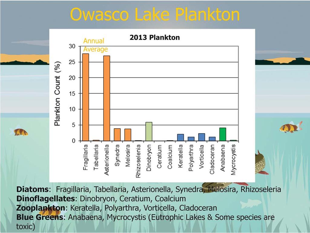 Plankton (both phytoplankton, i.e., algae, and zooplankton) annual mean concentrations. Most of the algae are diatoms, i.e., good algae.