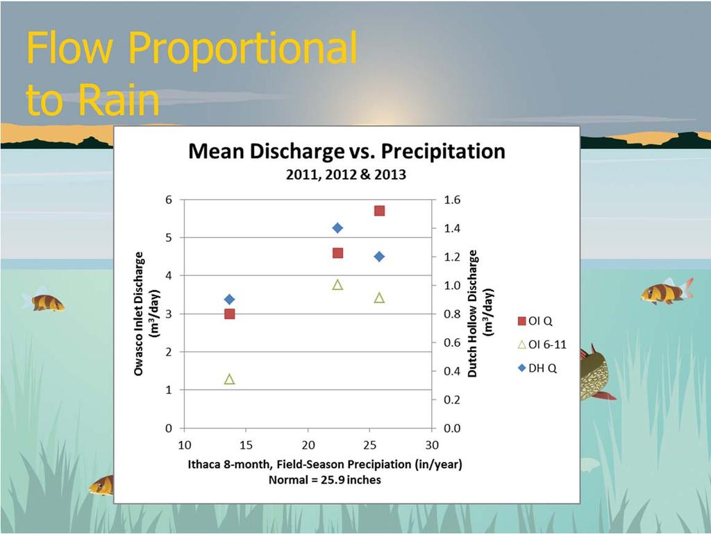 A positive correlation between discharge and precipitation