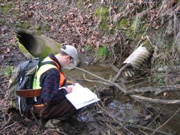 Non Storm Water Discharge Certification Dry weather screening of outfalls