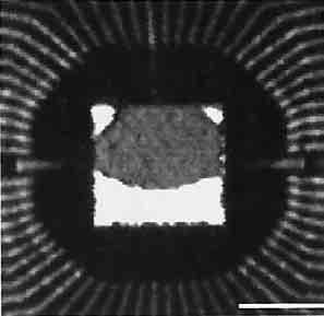 part of Al wiring Lead frame Chip FIB focused ion beam SEM scanning electron microscopy