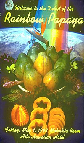 1998: Release of the genetically modified Rainbow papaya