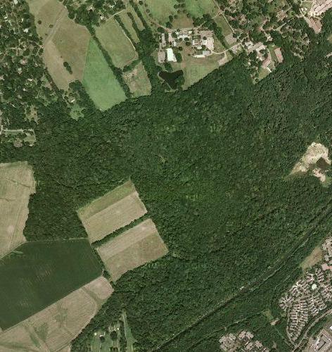 Land Cover Changes Forests have low albedo (they re dark) Cutting down forests to create farmland/pastures tends to raise the albedo This is actually a negative radiative forcing Causes local