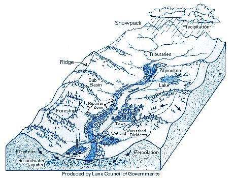 Overview Watersheds and Water Quality: What is a watershed? Background Images of City of Austin watersheds What are water quality data?