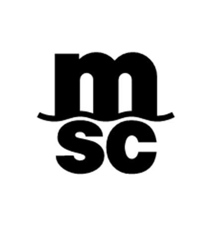 MSC UNITED STATES TERMS AND CONDITIONS MSC