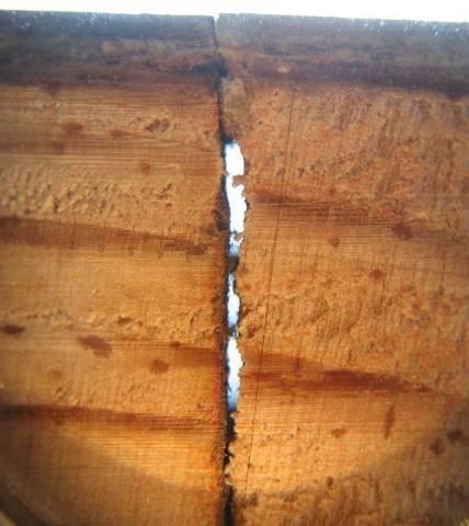 The strength of the resorcinol glue lines could be verified by testing core samples. During this assessment it was detected that cracked glue lines had been sealed during manufacture.
