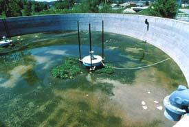 sewage overflows for storage and treatment Combinations of