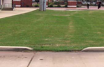 116 ft 75 ft Particulate Trapping in Grass Filters and Swales Low Flow Extensions of Historic Stillwater, OK, Retardance Curves 25 ft 6 ft 3 ft 2 ft Head ( ft) Zoysia grass swale Test Date: 1/11/24