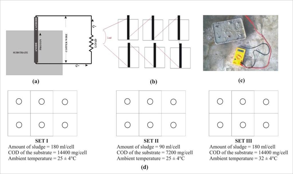 2.2 Design Six numbers of single chamber MFCs having carbon electrode as anode and copper as a cathode connected externally in series with copper wire have been used in this present study.