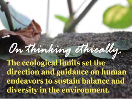 biodiversity should be preserved for ethical reasons.