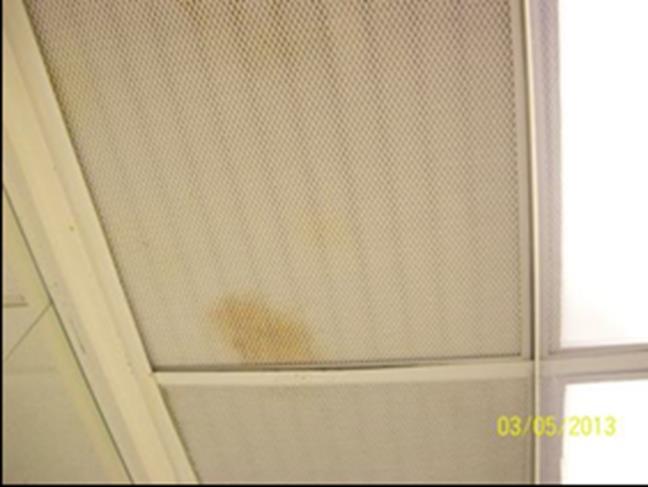 Photos of Insanitary Conditions The HEPA filter located immediately above the ISO 5 workbench was