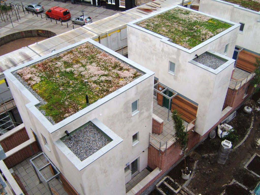 5. Water Water Absorption - green roofs that absorb water - lots of soft
