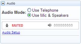 This option will allow you to listen to the call from your computer speakers or headphones.