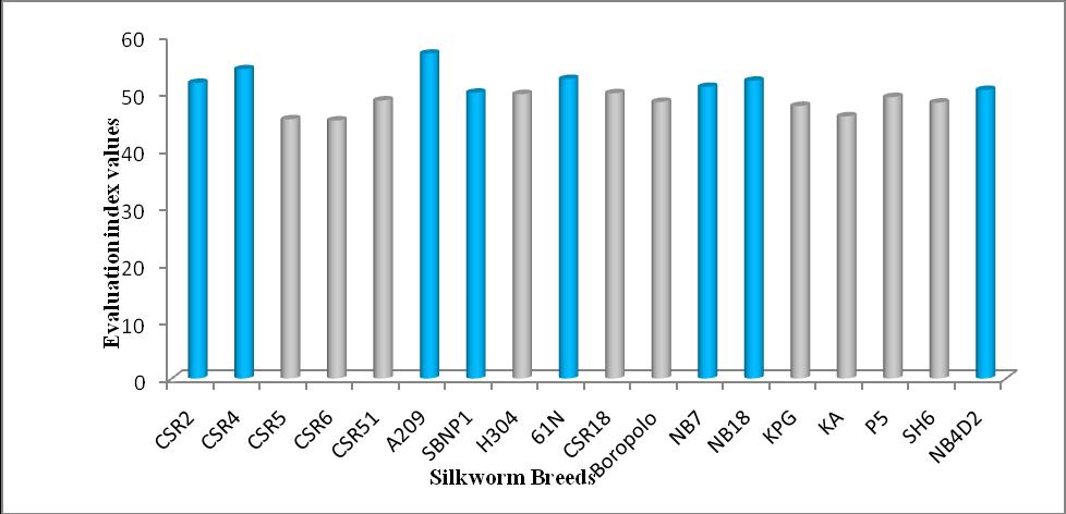 Table.3 Evaluation index for eleven commercial traits of silkworm breeds Silkworm Breeds No.