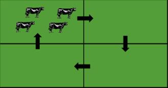 Rotational Grazing planned sequence root nutrient reserves and plant vigor renewed during recovery period