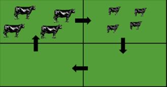 Forward Grazing two separate groups of livestock one grazes a paddock directly after the other first