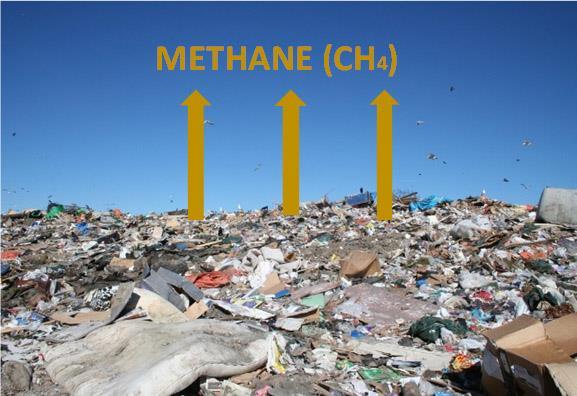 Organics Out of Landfill 3 rd largest source of methane production Methane