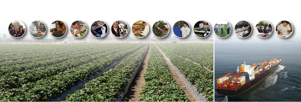 Plant Protection and Quarantine Safeguarding Agriculture,