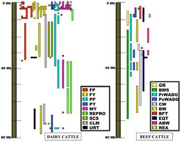 with valued traits Genomic selection of sires
