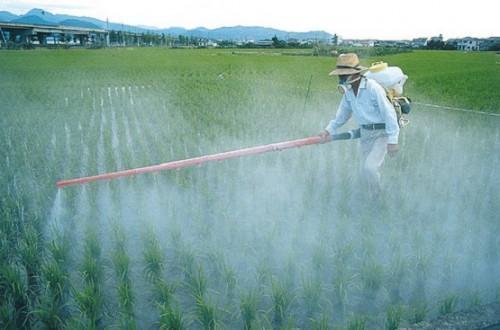 Pesticides Pesticides damage soil and