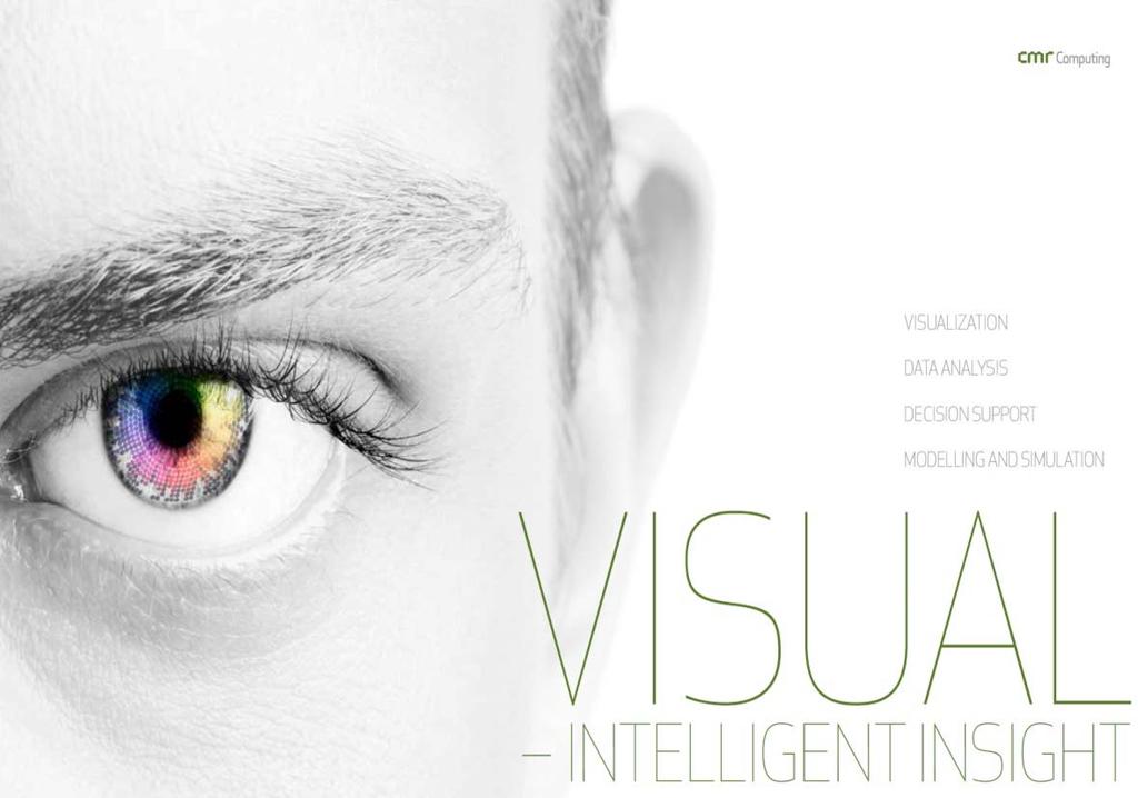 Visual Analytics «Visual analytics is the science of analytical reasoning facilitated by interactive visual interfaces.