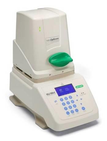 with Real-Time PCR?