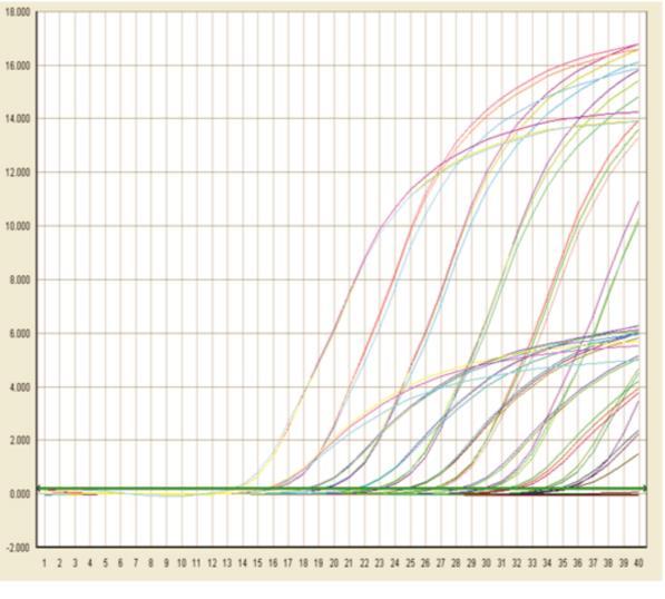 Better Sensitivity Increases Your Ability to Analyze Weakly Expressed Genes GoTaq 2-Step RT-qPCR System Combination of GoScript RT Kit and GoTaq qpcr Master Mix Improved Sensitivity GoTaq 2-Step