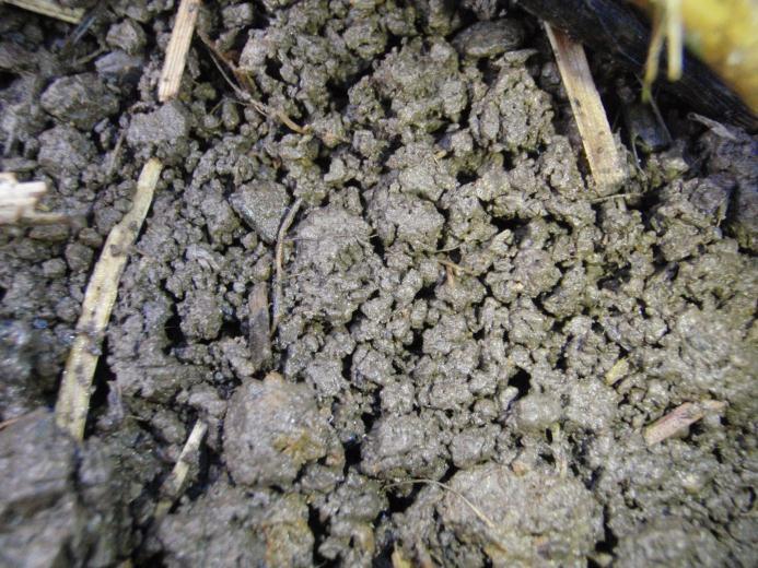 What does well aggregated soil look like?