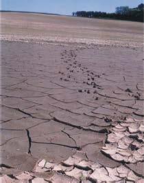 Erosion and soil loss a result of man made desertification