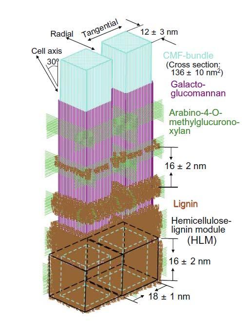 This schematic provides insight into what a native surface would be like vs.