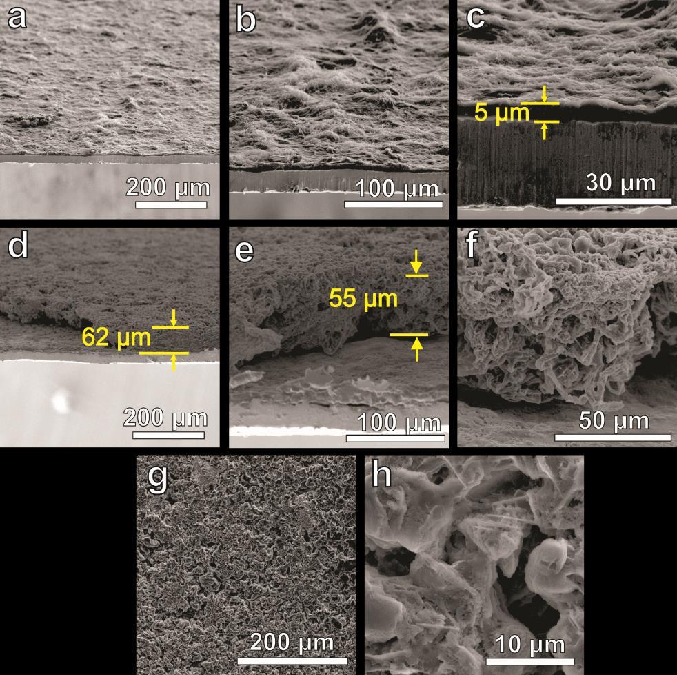 Figure S7. Comparison of Li plating on GCNT anode vs horizontal CNT anode. SEM images of CNT electrode (not GCNT) on copper foil (90% SWCNT-HiPco, 10% PVDF) and CNT-Li with mass loading of CNT of 0.
