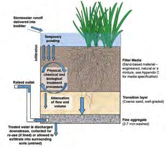 Appendix A How does stormwater biofiltration work? i Fact Sheet: How does stormwater biofiltration work? What is biofiltration?