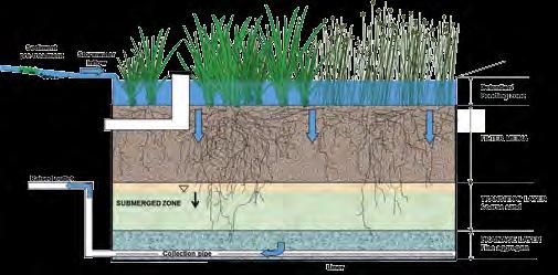 Appendix A Why choose stormwater biofiltration?