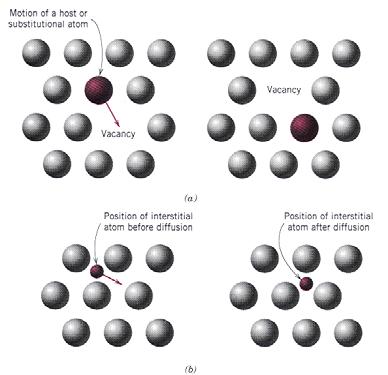 Diffusion phenomenon () Self-diffusion: In an elemental solid, atoms also migrate.