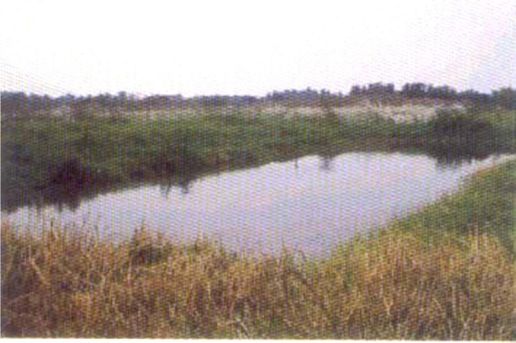 Waste Stabilization Ponds A shallow body of wastewater contained in an earthen basin, so called oxidation
