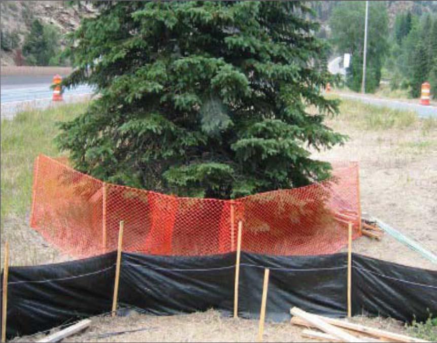 Tree Protection (Tr) To protect desirable trees from injury during construction activity. Tree Protection Zones: 1. Measure the diameter of the tree trunk in inches at 4.5 feet from the ground.