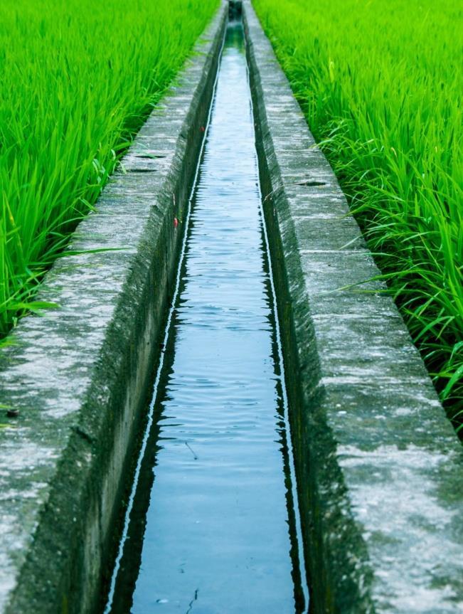 RAINWATER HARVESTING AND AGRICULTURAL BENEFITS Reduction of soil erosion as surface run-off is reduced Saving of Energy required to lift ground water Monetary Savings on water bills