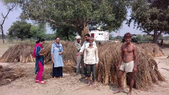 Gujarat Rajasthan Madhya Pradesh Uttar Pradesh Interaction with sesame farmers Estimation of average yield of