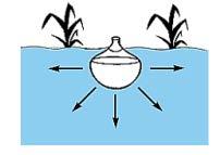 1. Surface Irrigation Running or impounding water over the