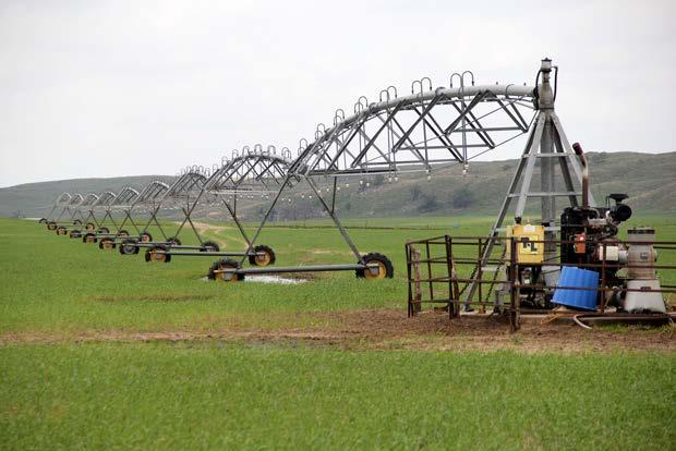 Center Pivots The six center pivots compliment this ranch, offering ample winter feed production along with