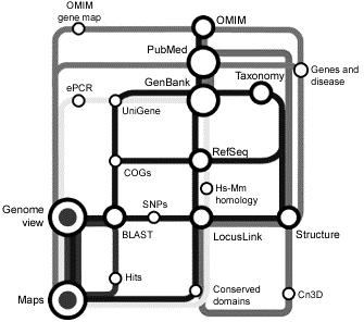 The Subway, Tube, Underground, Metro, U-Bahn