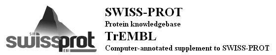 TrEMBL Translated EMBL was created in 1996 as a computer annotated supplement to Swiss-Prot.