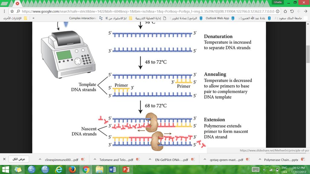 Introduction: Nucleic acid amplification is an important process in biotechnology and molecular biology and has been widely used in research, medicine, agriculture and forensics.