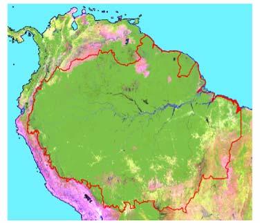 The Amazon in the Context of Avoided Deforestation Source: JRC / ACTO 2005 Amazon biogeographical & political definition (8 member