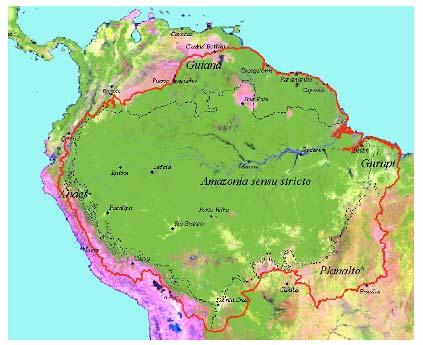 and > 30 % of related emissions Country Bolivia Brazil Columbia Ecuador Guyana Peru Suriname Venezuela Annually deforested area (2000