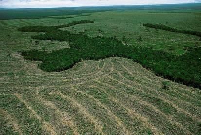 Emissions from forest degradation Deforestation: Lowering